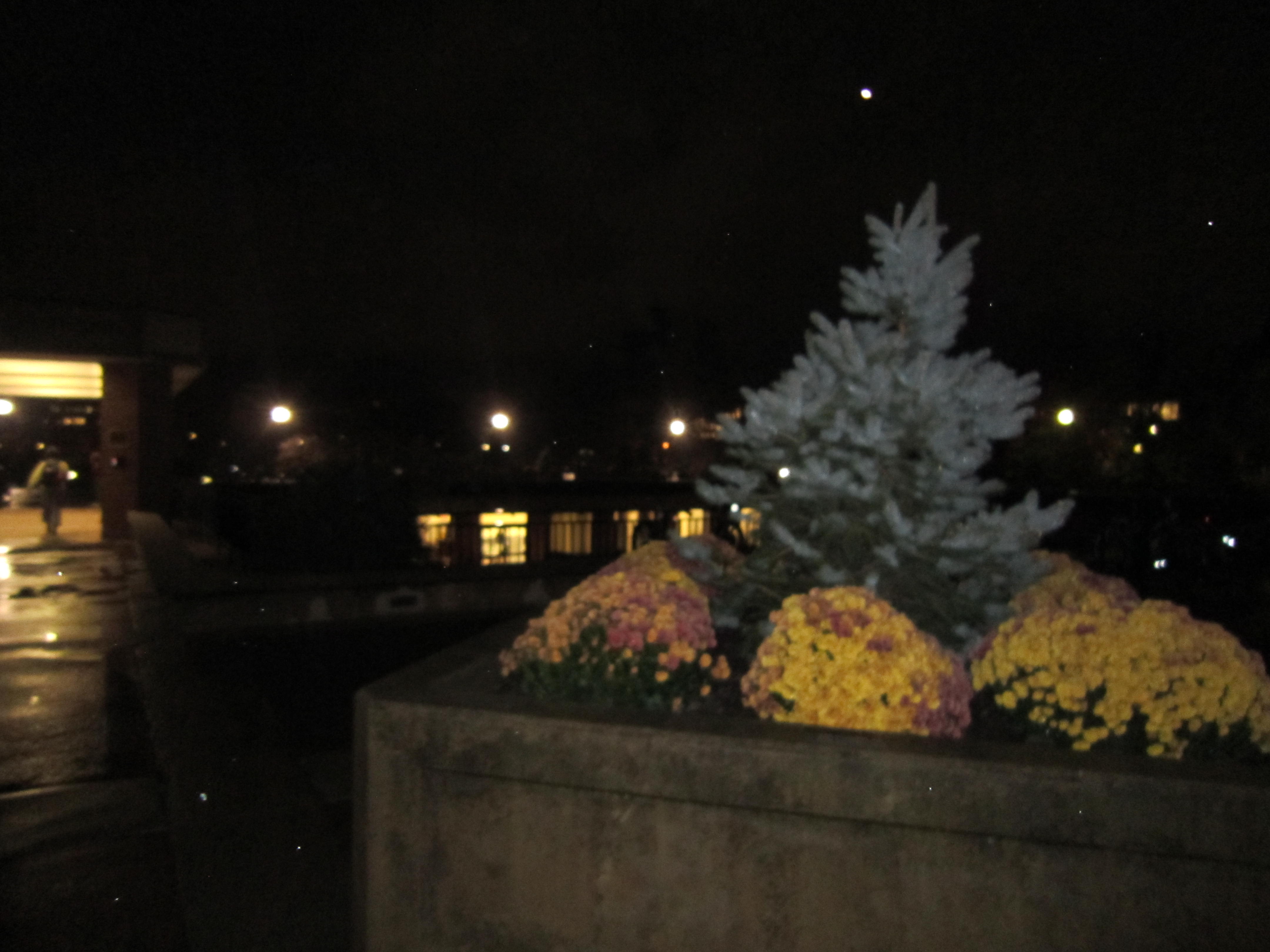 UMASS FALL 25 photo